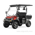 200CC UTV with High-Low speed RED